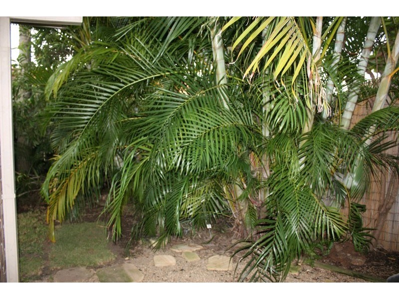 108 Sidney Nolan Drive, Coombabah QLD 4216