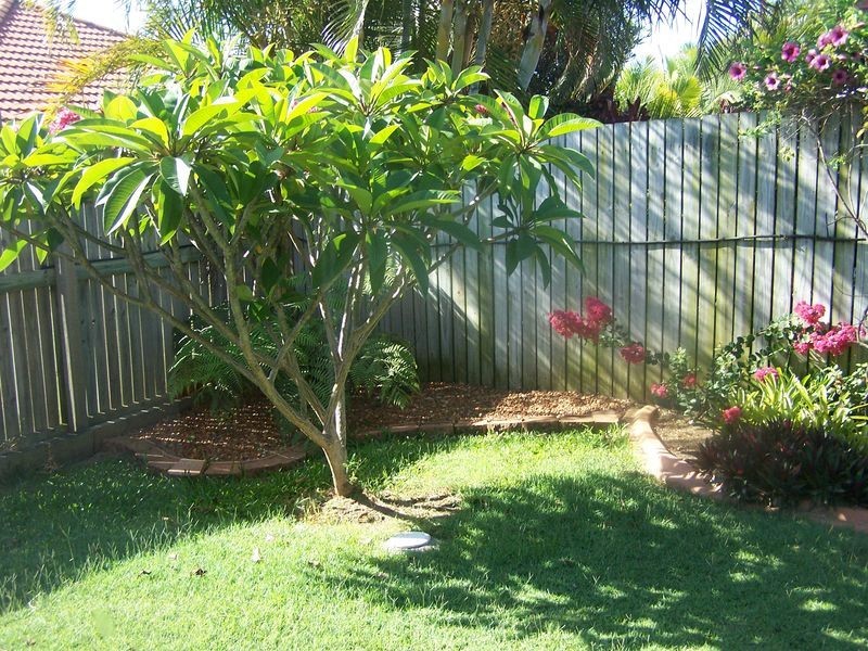 4 Eric Court, Cleveland QLD 4163