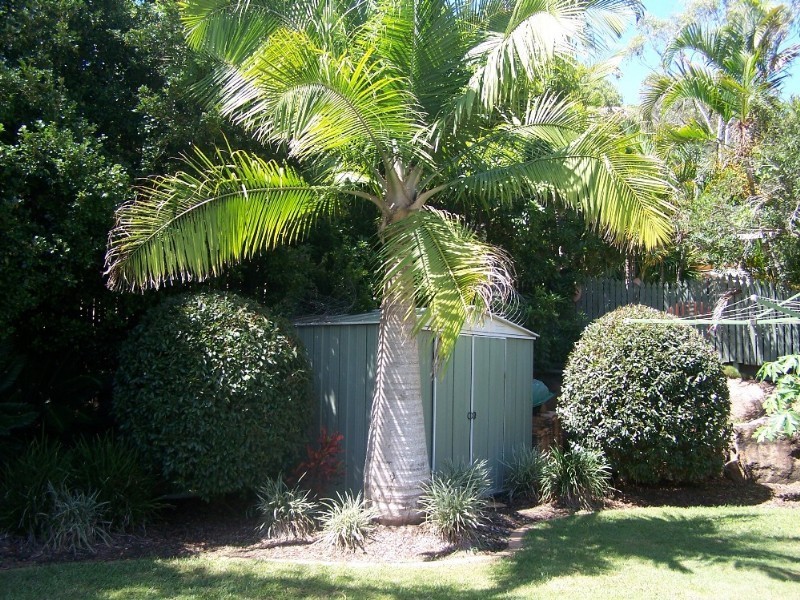 10 Flemington Close, Capalaba QLD 4157