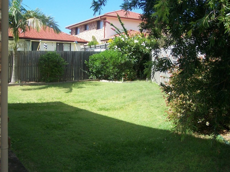 16 Walnut Court, Birkdale QLD 4159