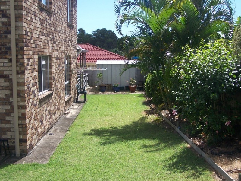 16 Walnut Court, Birkdale QLD 4159