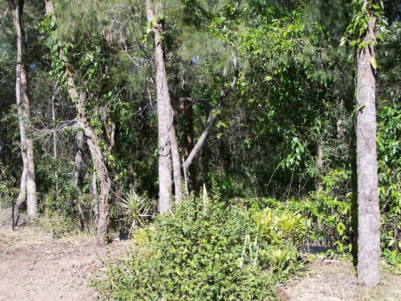 1B Penny Lane, Thorneside QLD 4158