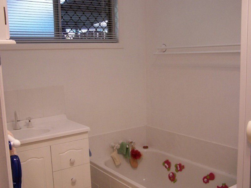 17 Blaxland Street, Capalaba QLD 4157