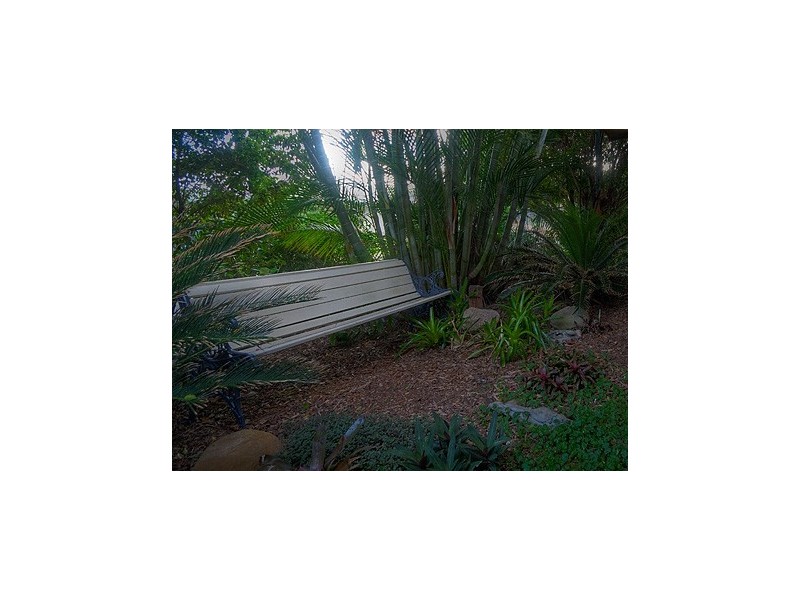 11 Creswick Place, Birkdale QLD 4159