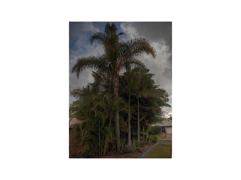 11 Creswick Place, Birkdale QLD 4159