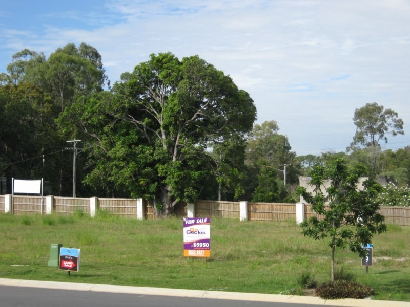 91 Ivy Crescent, Wakerley QLD 4154