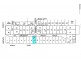 91 Ivy Crescent, Wakerley QLD 4154