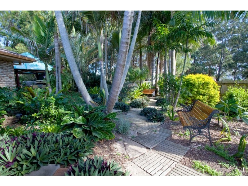 9 Bauhinia Street, Birkdale QLD 4159
