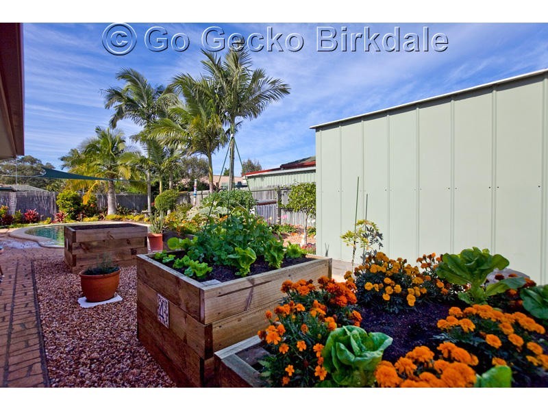 5 Ivana Court, Capalaba QLD 4157