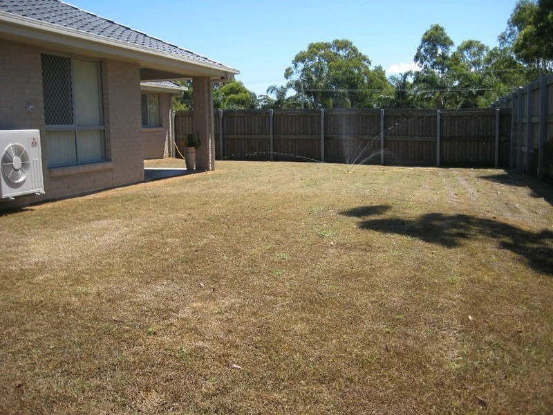 16 Amalia Street, Birkdale QLD 4159