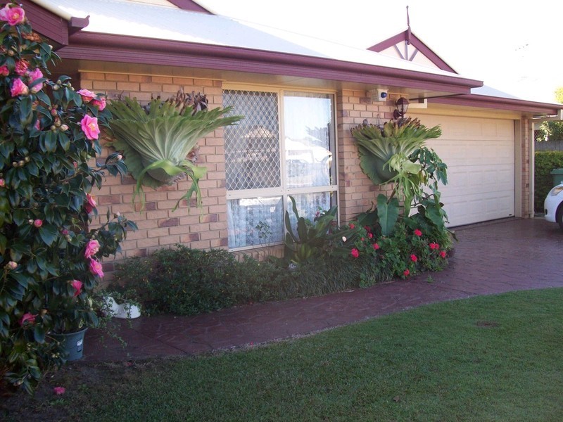 75 Coolgarra Avenue, Bongaree QLD 4507