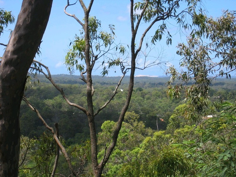 16 Annkoh Court, Cornubia QLD 4130