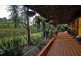 31 Tanaldi Street, Shailer Park QLD 4128