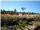 Drewvale QLD 4116