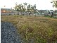 Drewvale QLD 4116