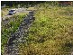 Drewvale QLD 4116