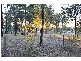 New Beith QLD 4124