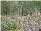Lot 37 Williamson Road, Tamborine QLD 4270