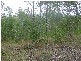 Lot 37 Williamson Road, Tamborine QLD 4270