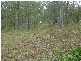 Lot 37 Williamson Road, Tamborine QLD 4270