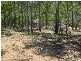 Lot 37 Williamson Road, Tamborine QLD 4270