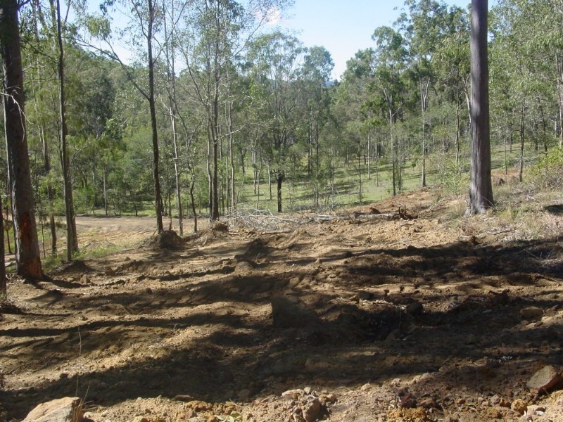 Lot 37 Williamson Road, Tamborine QLD 4270