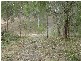 Lot 37 Williamson Road, Tamborine QLD 4270
