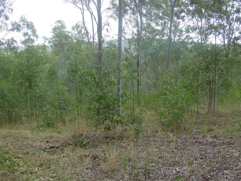 Lot 37 Williamson Road, Tamborine QLD 4270