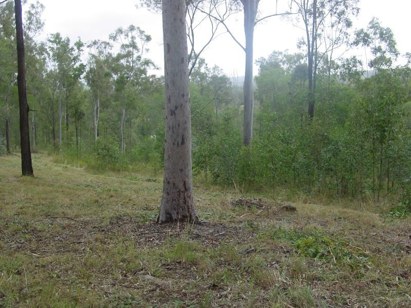 Lot 37 Williamson Road, Tamborine QLD 4270