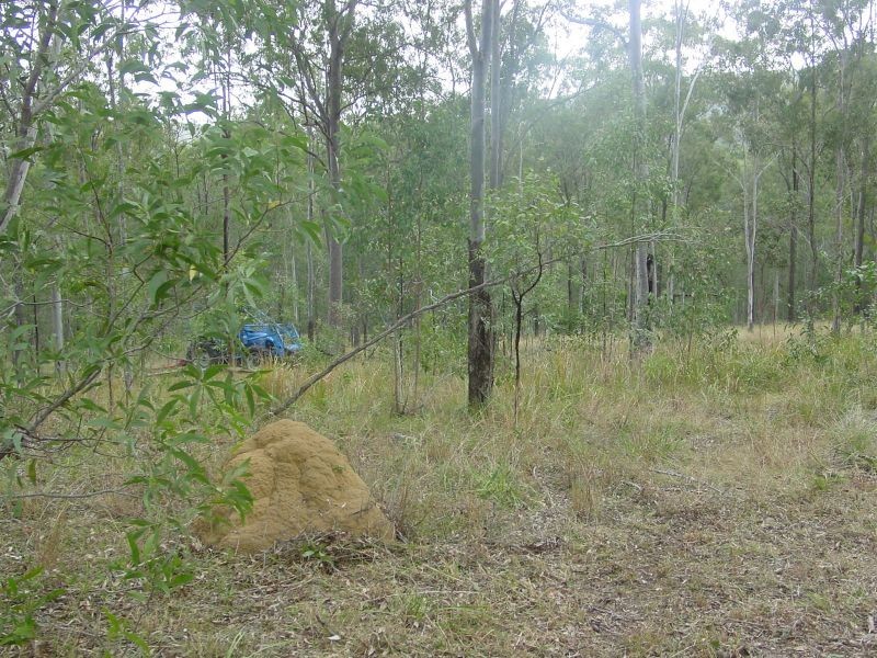 Lot 37 Williamson Road, Tamborine QLD 4270