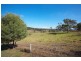 226 Bamboo Drive, Woodhill QLD 4285