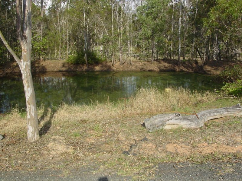 99 Nash Road, Jimboomba QLD 4280