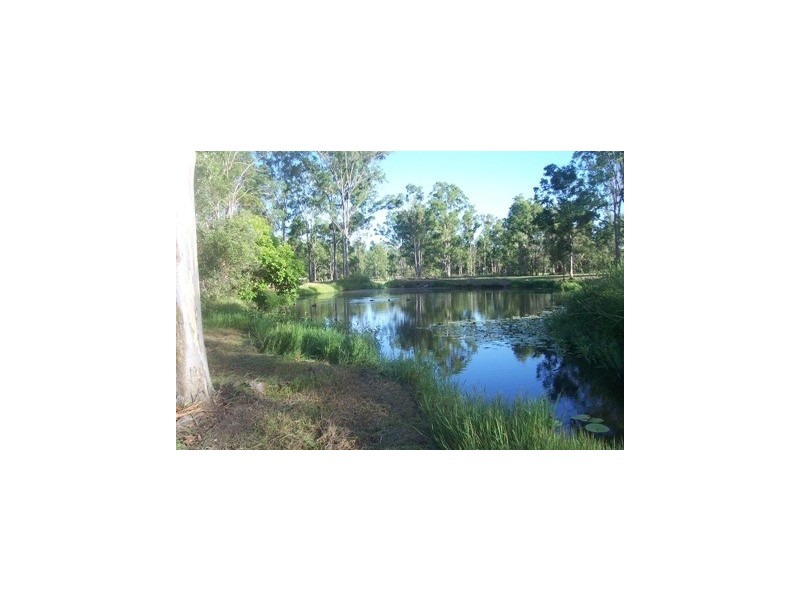 99 Nash Road, Jimboomba QLD 4280