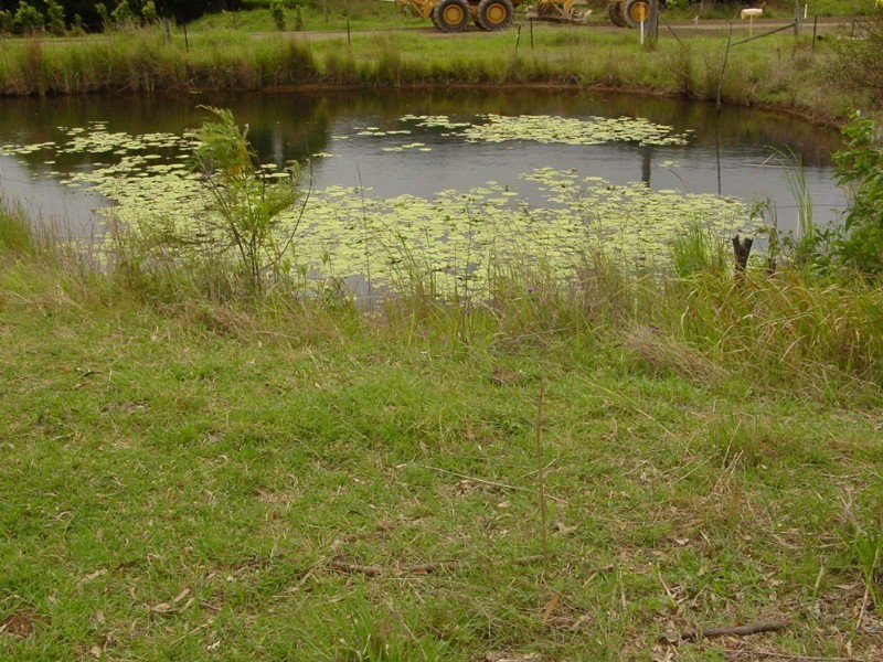 272 Cedar Creek Road, Cedar Creek QLD 4207