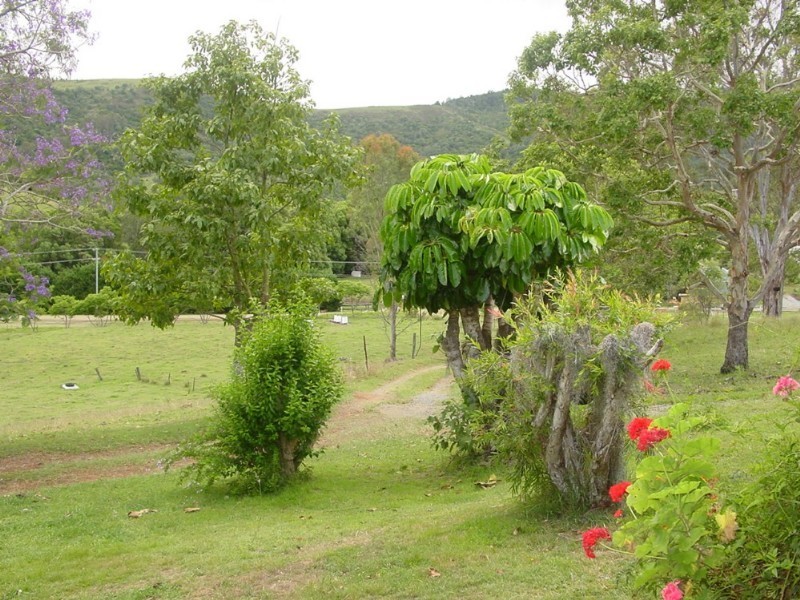 272 Cedar Creek Road, Cedar Creek QLD 4207