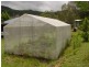 272 Cedar Creek Road, Cedar Creek QLD 4207