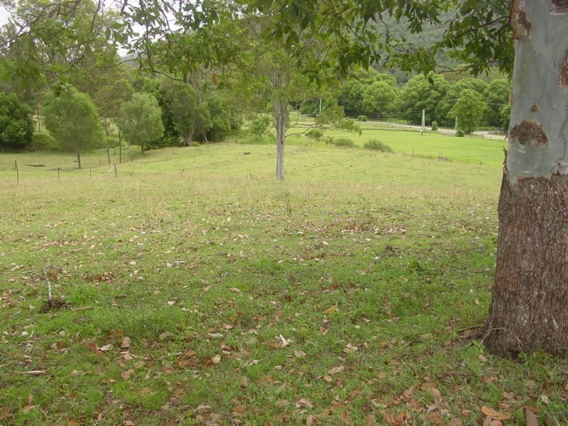 272 Cedar Creek Road, Cedar Creek QLD 4207