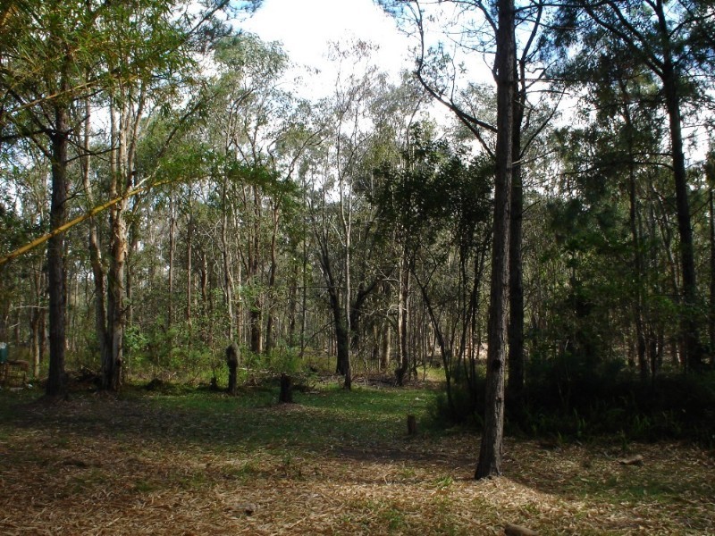 119 Andrew Road, Greenbank QLD 4124