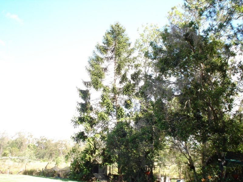 119 Andrew Road, Greenbank QLD 4124