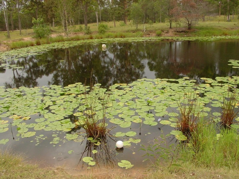 62 Missouri Road, Jimboomba QLD 4280