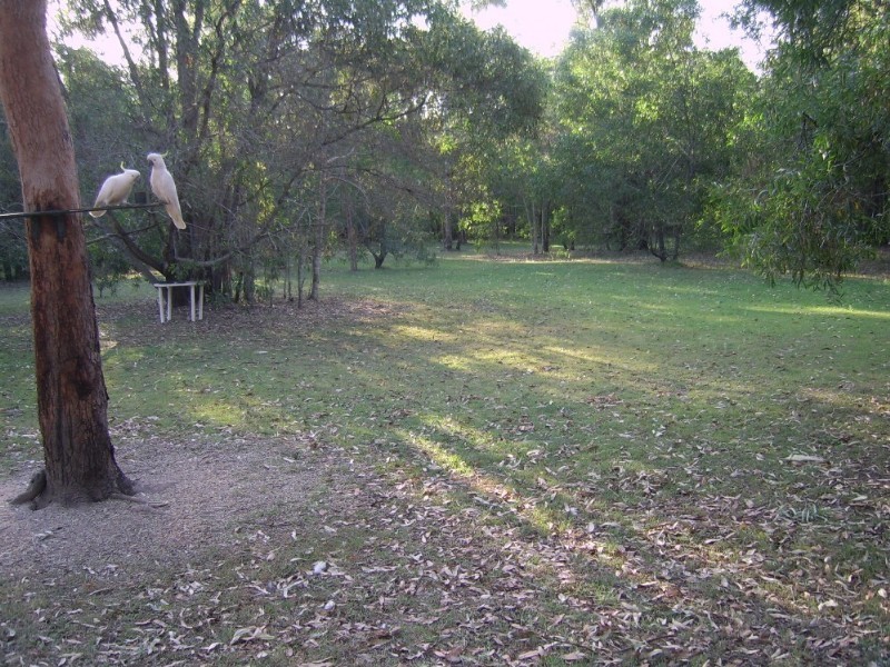 48 Whittling Court, Jimboomba QLD 4280