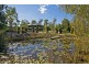 35 Goodenia Close, New Beith QLD 4124