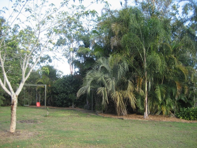 10 Quandong Court, New Beith QLD 4124