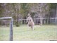 116 Mona Drive, Jimboomba QLD 4280