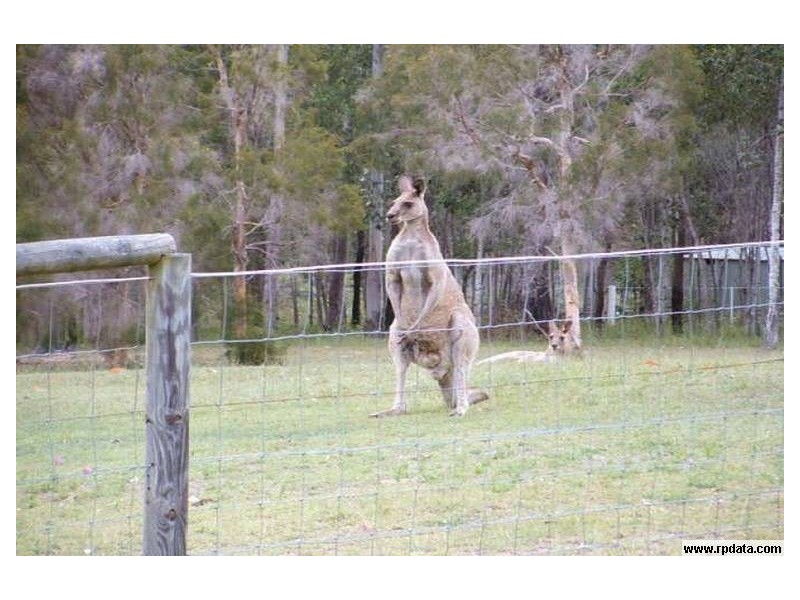 116 Mona Drive, Jimboomba QLD 4280