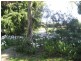 220 Rosia Road, Park Ridge QLD 4125