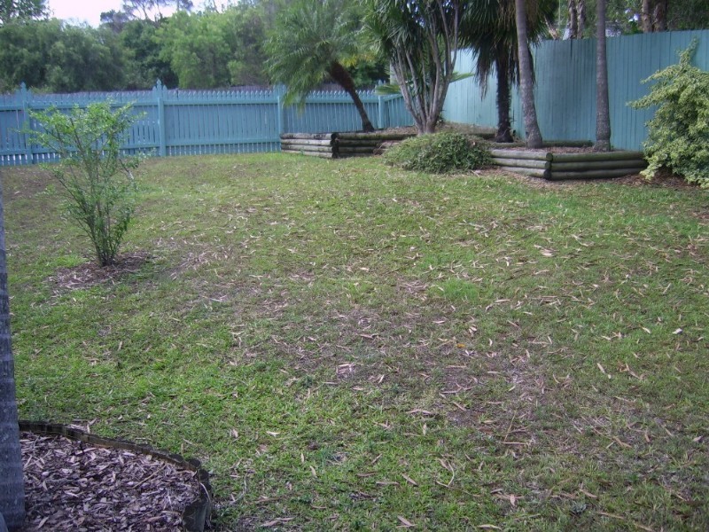 41 Darren Drive, Slacks Creek QLD 4127
