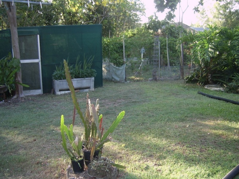 265 Old Logan Road, Camira QLD 4300