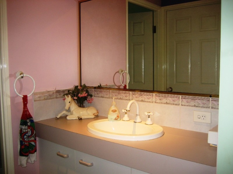 10 Acorus Court, Regents Park QLD 4118