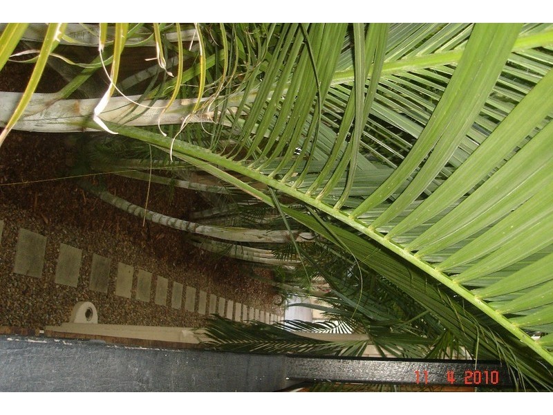 57 Harlen Road, Salisbury QLD 4107